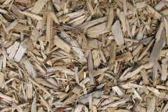 biomass boilers Grassendale